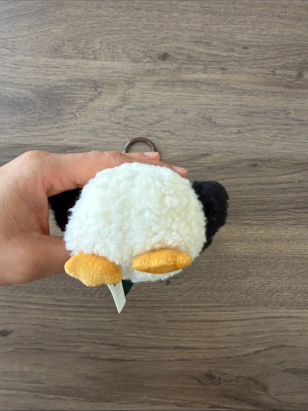 NWT Twinkle Twinkle Crush On You Series - Plush Pendant (Albatross's Vow)